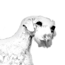 Sealyham Terrier - Wooden Stand For Candles/Pens With The Image Of A Dog New Collection - thumbnail 2