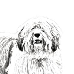 Polish Lowland Sheepdog - Wooden Stand For Candles/Pens With The Image Of A Dog New Collection - thumbnail 2