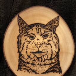 Grumpy Franks Beer Coasters/Art - thumbnail 3