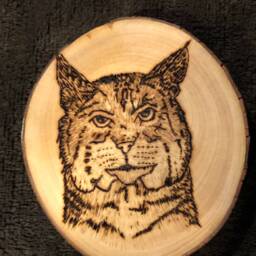Grumpy Franks Beer Coasters/Art - thumbnail 2