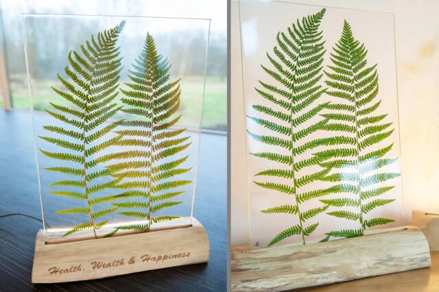 Gift For Mom On Birthday, Fern Light Table Lamp, Her Wood Epoxy Resin Home Decor Modern Lamp Table, Design Bedside - image 1