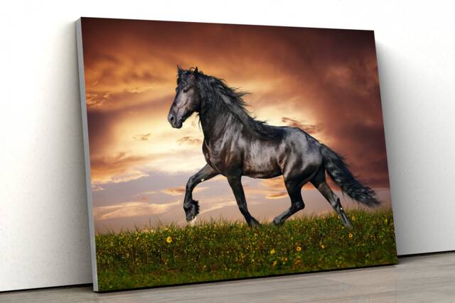 Beautiful Black Stallion Horse Nature Wildlife Large Canvas Art Print Gift A0 A1 A2 A3 A4 - image 1