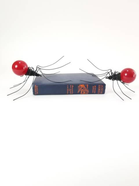 There Are Two Red Spiders in Your Future - image 1
