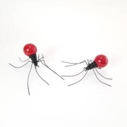 There Are Two Red Spiders in Your Future - thumbnail 3