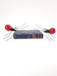 There Are Two Red Spiders in Your Future - thumbnail 1