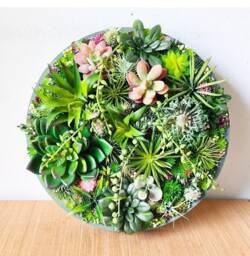 Round Faux Succulent 3D Wall Art Modern Framed Realistic Plant Decor Home Or Business - thumbnail 1