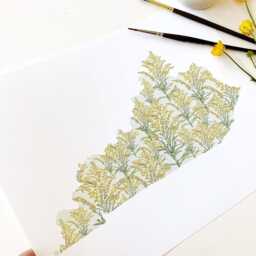 Kentucky State Flower Map Watercolor Goldenrod - Art Print Wall Graduation Wedding Realtor Moving Gift Southern Floral Wildflower - thumbnail 4