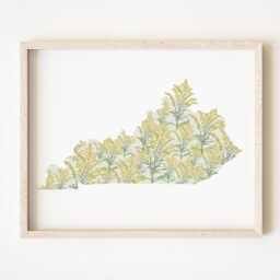 Kentucky State Flower Map Watercolor Goldenrod - Art Print Wall Graduation Wedding Realtor Moving Gift Southern Floral Wildflower - thumbnail 1