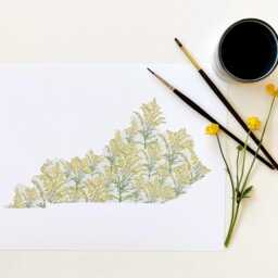 Kentucky State Flower Map Watercolor Goldenrod - Art Print Wall Graduation Wedding Realtor Moving Gift Southern Floral Wildflower - thumbnail 2