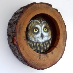 Short-Eared Owl Nest - Unique 3-D Art By Roberto Rizzo - thumbnail 2