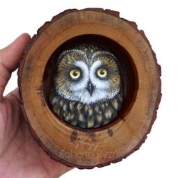 Short-Eared Owl Nest - Unique 3-D Art By Roberto Rizzo - thumbnail 3
