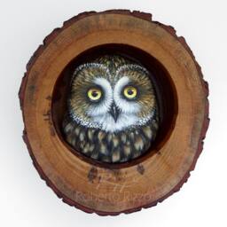 Short-Eared Owl Nest - Unique 3-D Art By Roberto Rizzo - thumbnail 1