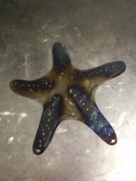 Metal Starfish Wall Hanging 10 - thumbnail 1