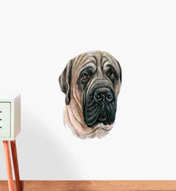 Mastiff Old Dog Wall Sticker Decal - Dogs & Pets Stickers, Art, Decals, Kids Animals Decals