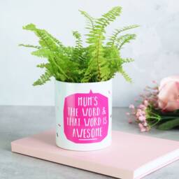 Mum's The Word & That Is Awesome Indoor Plant Pot - thumbnail 1