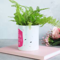 Mum's The Word & That Is Awesome Indoor Plant Pot - thumbnail 3