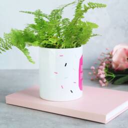 Mum's The Word & That Is Awesome Indoor Plant Pot - thumbnail 2