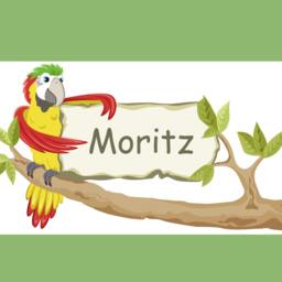 "Wall Sticker ""Parrot Door Sign" - thumbnail 2