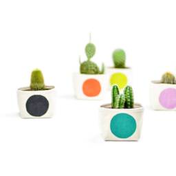 Mini Turquoise Dot Succulent Pot, Blockprint Fabric Bucket - thumbnail 2