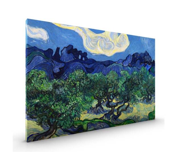 Olive Trees Van Gogh Canvas Framed Glossy Coated Premium With Metal Hanger Various Sizes - image 1