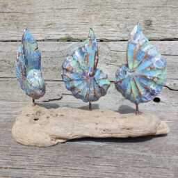 Wooden Carved & Painted Shells On Driftwood Base - Coastal D??cor- Nautical Sculpture Maritime Style Carving Or Beach Gifts - thumbnail 2