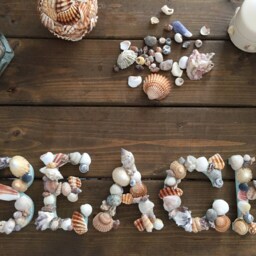 Seashell Home Decoration, Coastal Wall Decor - thumbnail 3