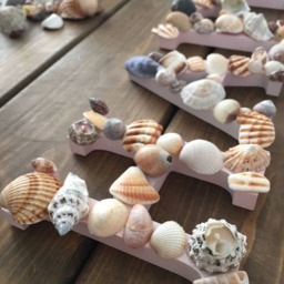 Seashell Home Decoration, Coastal Wall Decor - thumbnail 4