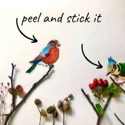 Colorful Birds Decals, 12-Set Bird Wall Furniture Bathroom Kitchen Living Room Stickers, Decals - thumbnail 2