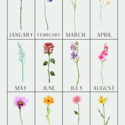 Personalised Grandma's Garden Print, Mother's Day Gift - thumbnail 3