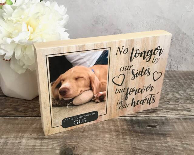 Dog Memorial Gift, Pet Frame, Memorial, Plaque, Photo Memorial Picture Cat - image 1