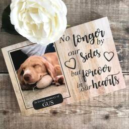 Dog Memorial Gift, Pet Frame, Memorial, Plaque, Photo Memorial Picture Cat - thumbnail 3