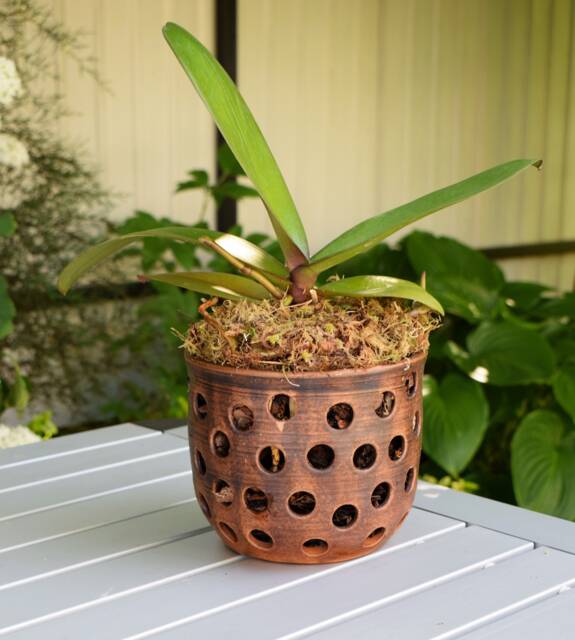 Unglazed Brown Ceramic Orchid Planter - 30, 4 Fl. Oz. - 1900 Ml Pot With Ventilation Holes - image 1
