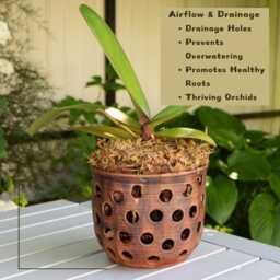 Unglazed Brown Ceramic Orchid Planter - 30, 4 Fl. Oz. - 1900 Ml Pot With Ventilation Holes - thumbnail 2