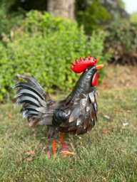 Decorative Dark Brown Metal Cockerel Rooster Garden Outdoor Lawn Ornament Decor