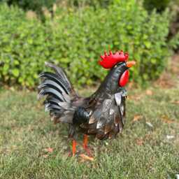 Decorative Dark Brown Metal Cockerel Rooster Garden Outdoor Lawn Ornament Decor - thumbnail 3