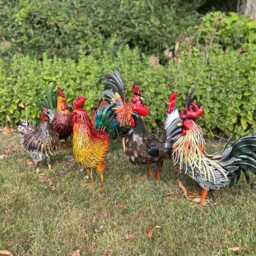 Decorative Dark Brown Metal Cockerel Rooster Garden Outdoor Lawn Ornament Decor - thumbnail 4