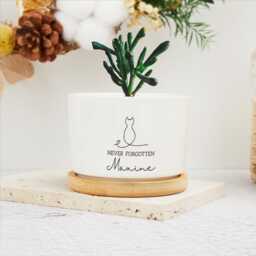 Personalized Memorial Plant Pot, Mini Pot With Bamboo Tray, Never Forgotten Custom Flower Sympathy Gifts For Dog Mom - thumbnail 1