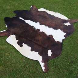 Genuine Brown & White Cow Skin Rug-Natural Hair On Brazilian Hide-Large Cowhide Floor Area Rug-Authentic Rug-Gift For Christmas - thumbnail 4