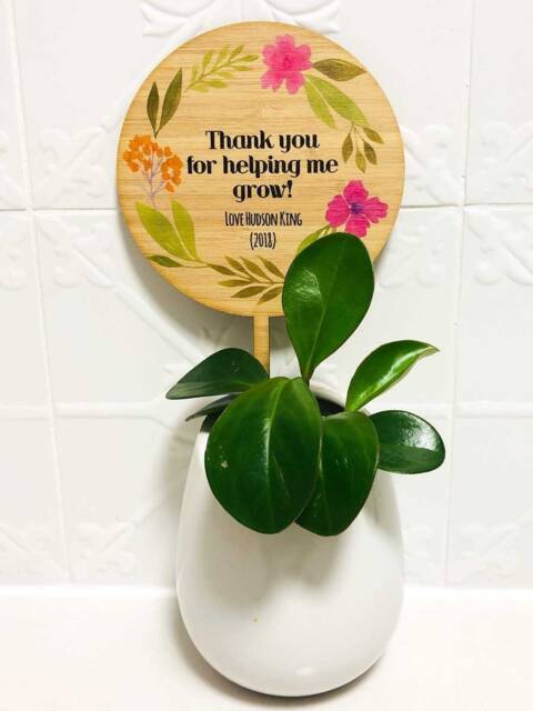 Thank You For Helping Me Grow Teachers Gift - Planter Stick Plantpot Personalised School - Made in Australia - image 1