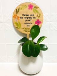 Thank You For Helping Me Grow Teachers Gift - Planter Stick Plantpot Personalised School - Made in Australia