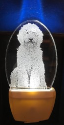 Goldendoodle Nightlight Etched Dog Lover Pet Gift Designed By Deborah Houser Personalized 8 Light Color Ootions