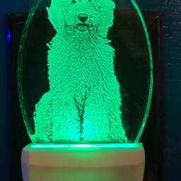Goldendoodle Nightlight Etched Dog Lover Pet Gift Designed By Deborah Houser Personalized 8 Light Color Ootions - thumbnail 2