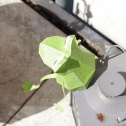 Papercraft Frog - Pre-Cut Sheets - thumbnail 3