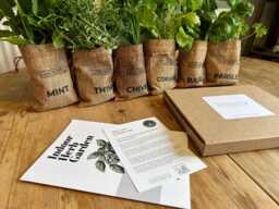 Indoor Herb Garden Set Of 6 - Grow Your Own Fresh Herbs in Jute Bags - Birthday Gift, Women Mens Gift & Childrens - thumbnail 1