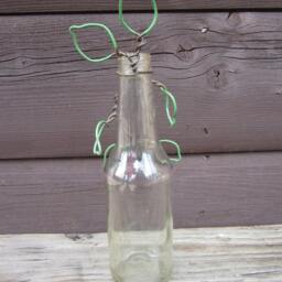 Columbine Flower Twisted Wire in A Glass Bottle - thumbnail 4