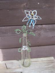 Columbine Flower Twisted Wire in A Glass Bottle