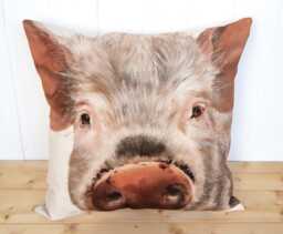Pig Face Cushion Wendy Darker Art Print Pillow, Cover Only Or + Pad - thumbnail 1