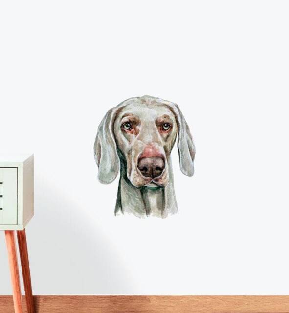 Weimaraner Dog Wall Sticker Decal - Dogs & Pets Stickers, Art, Decals, Kids Animals Decals