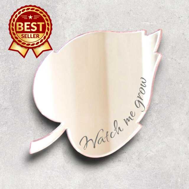 Leaf Acrylic Mirror Wall Art Personalized Engraving Options - image 1