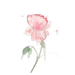 Peony Print/Flower Watercolor Reproduction Minimalist Style Cynthia Paquette - thumbnail 2